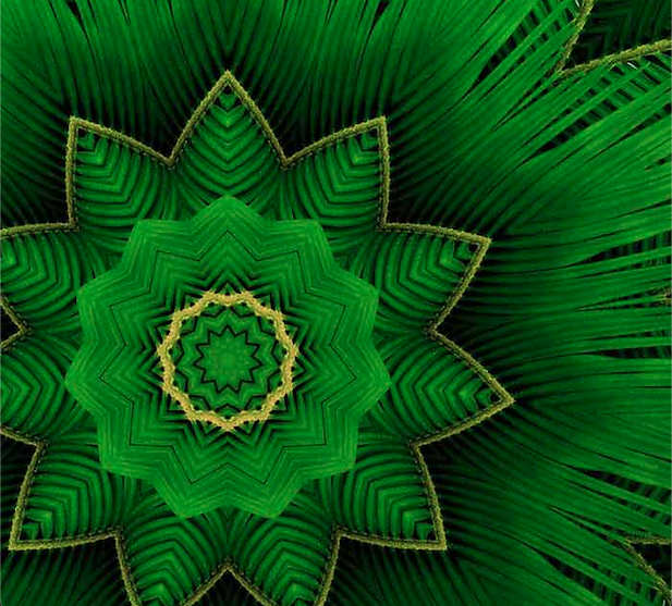 从抽象代数到我们所熟知的线性代数