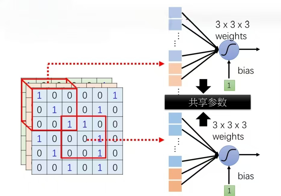 感受野的参数共享.jpg