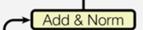 残差链接和归一化.png